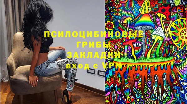 молекула духа Вязьма