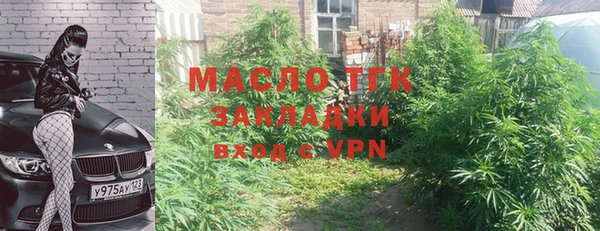 молекула духа Вязьма