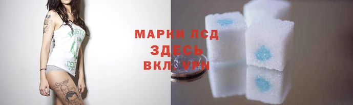 молекула духа Вязьма