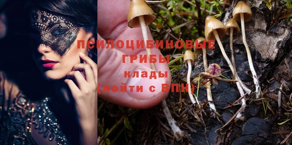 героин Вяземский