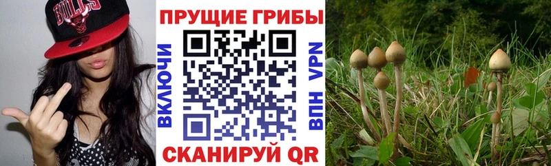 kraken рабочий сайт  Электросталь  Псилоцибиновые грибы прущие грибы 